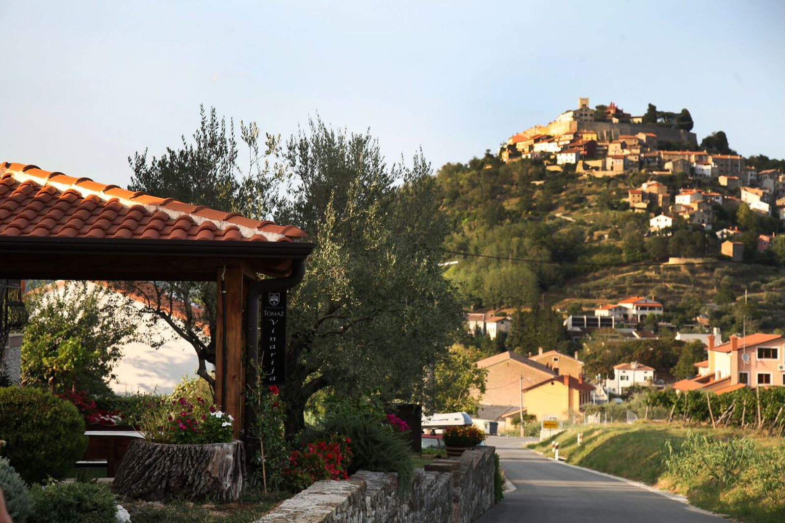 Vinarija Tomaz, Motovun