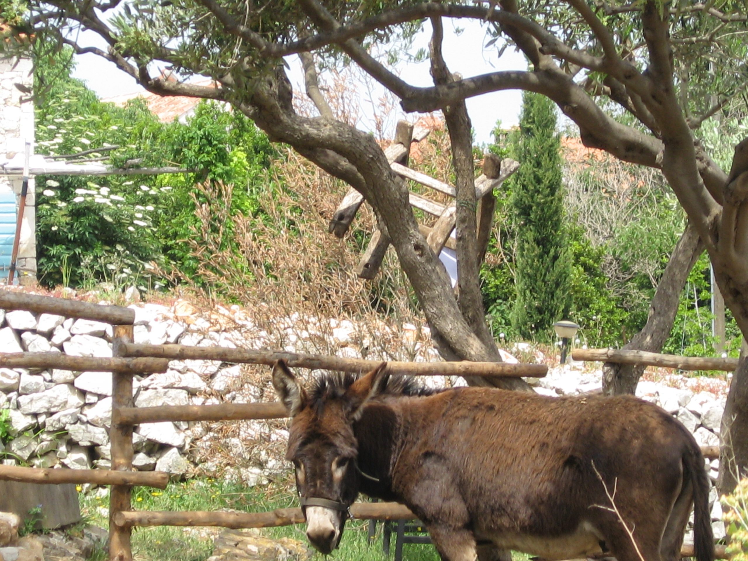 miomirisni vrt Lošinj