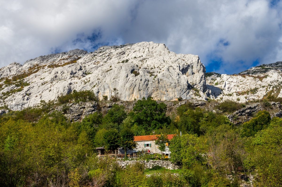 parići i ramići