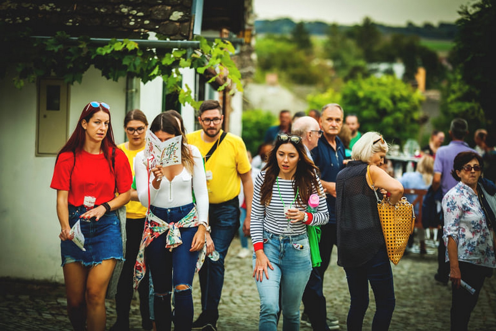 Vinski Bor maraton Zmajevac Foto: Nenad Milić