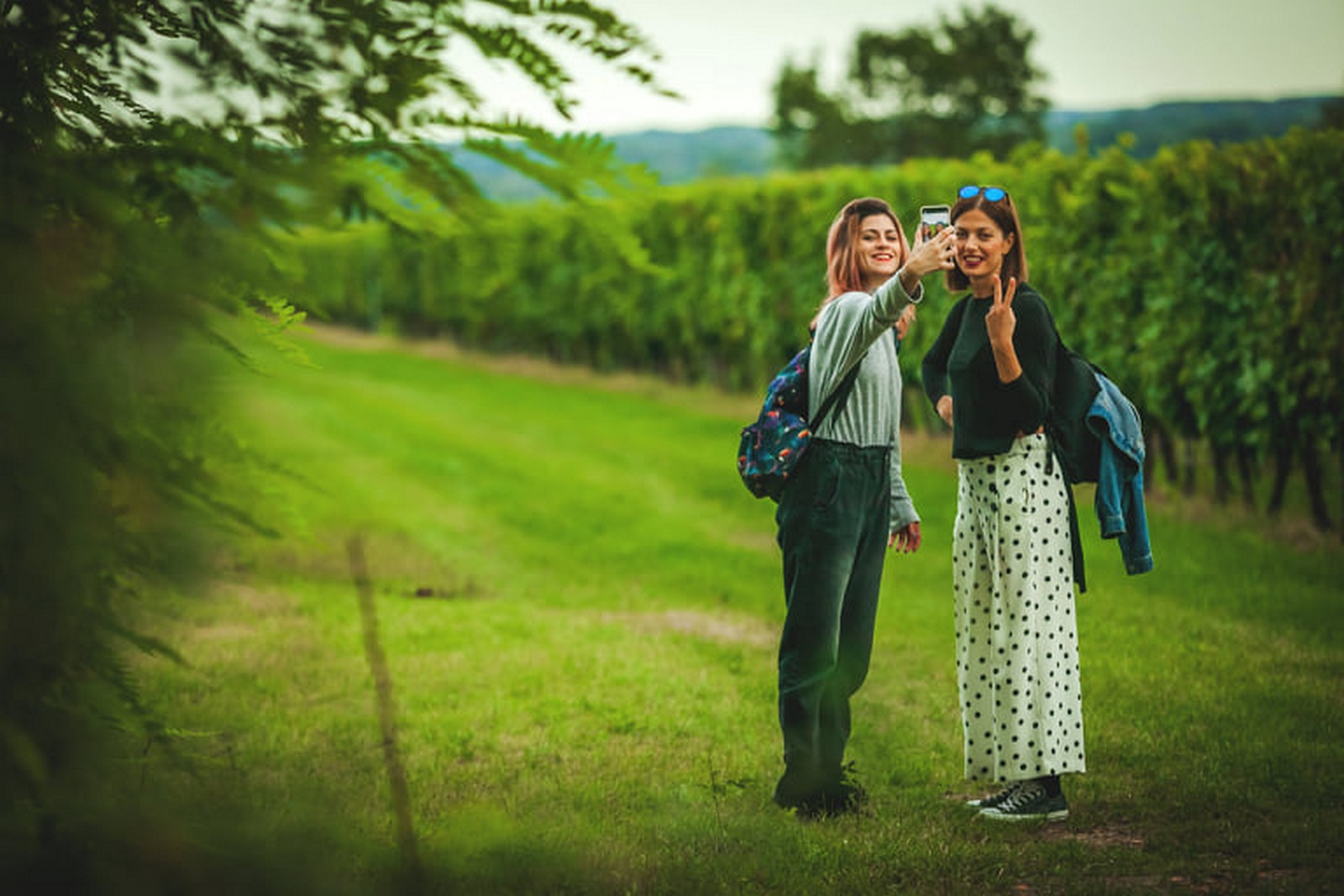 Vinski Bor maraton Zmajevac Foto: Nenad Milić