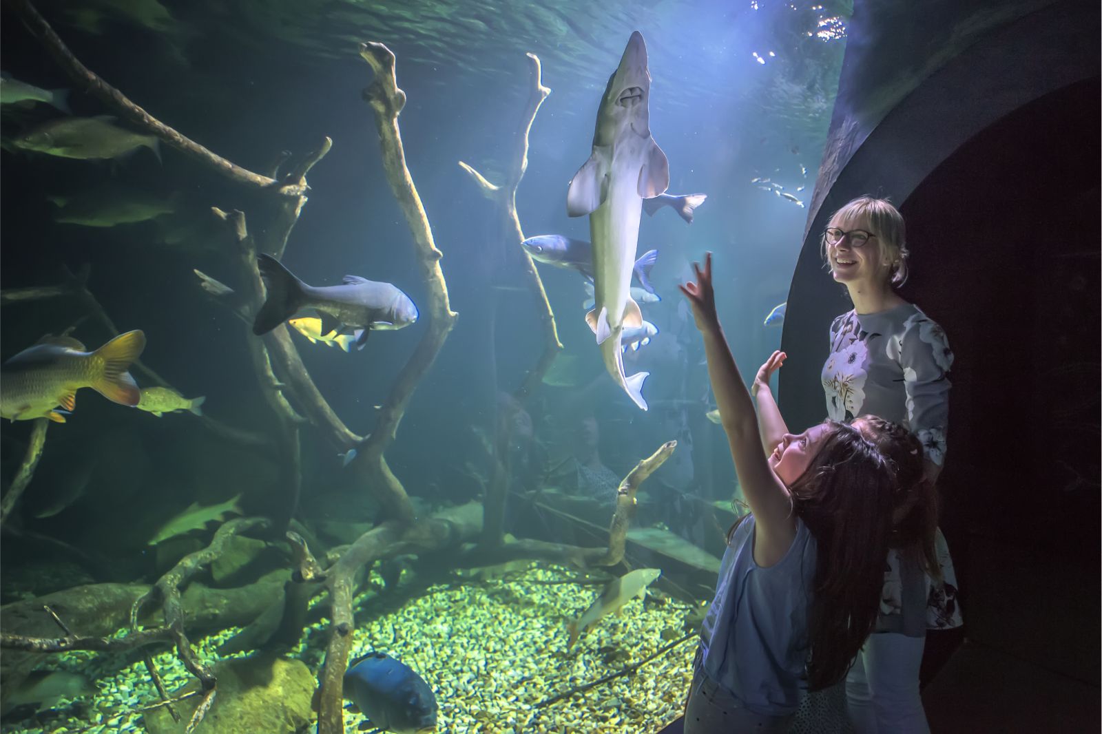 virtualna šetnja aquatika