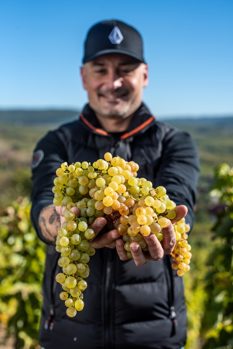 najskuplje vino na svijetu