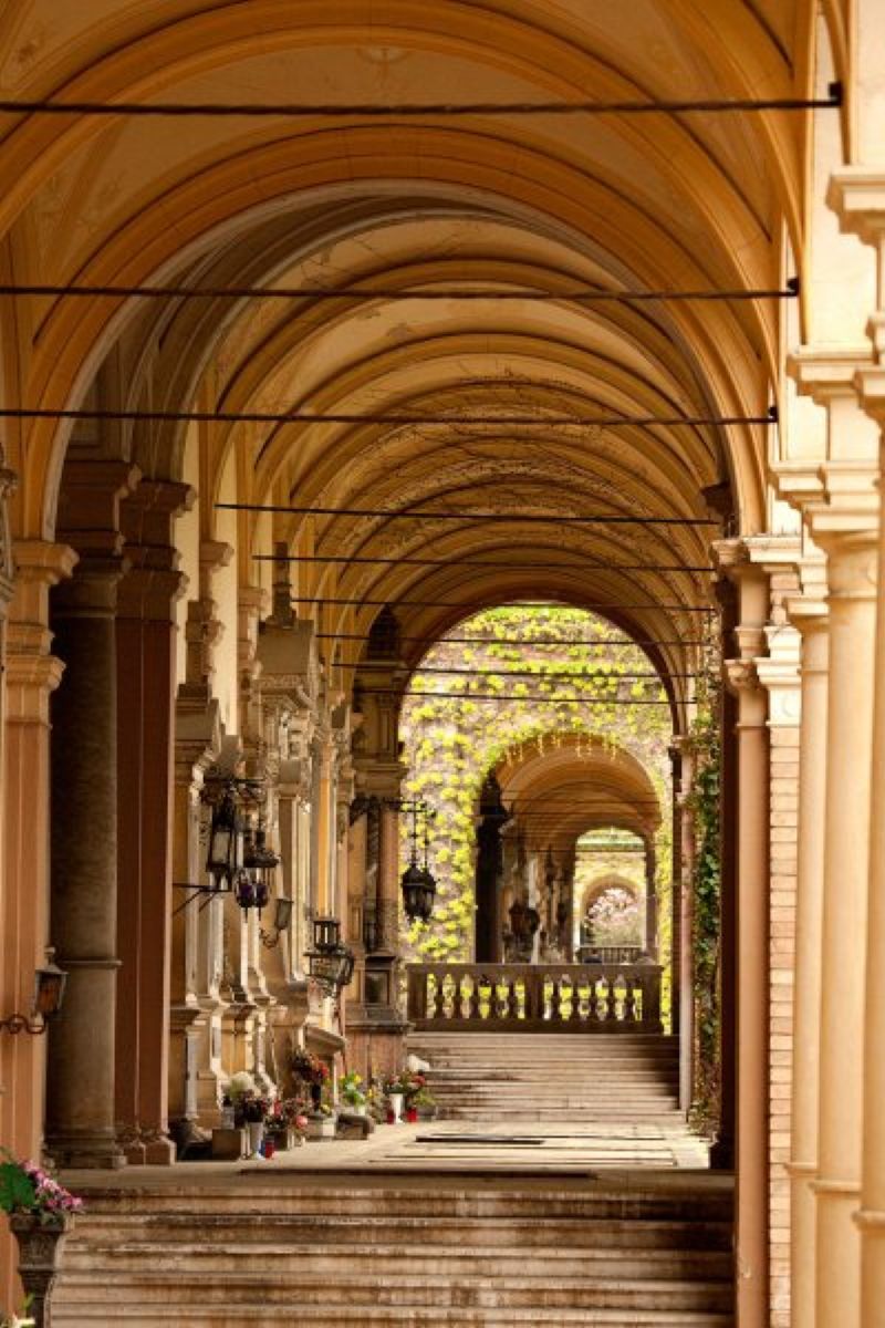 mirogoj