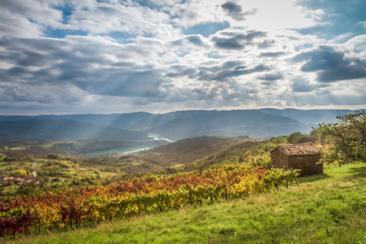 istra, motovun