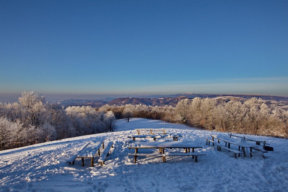 japetić zimi