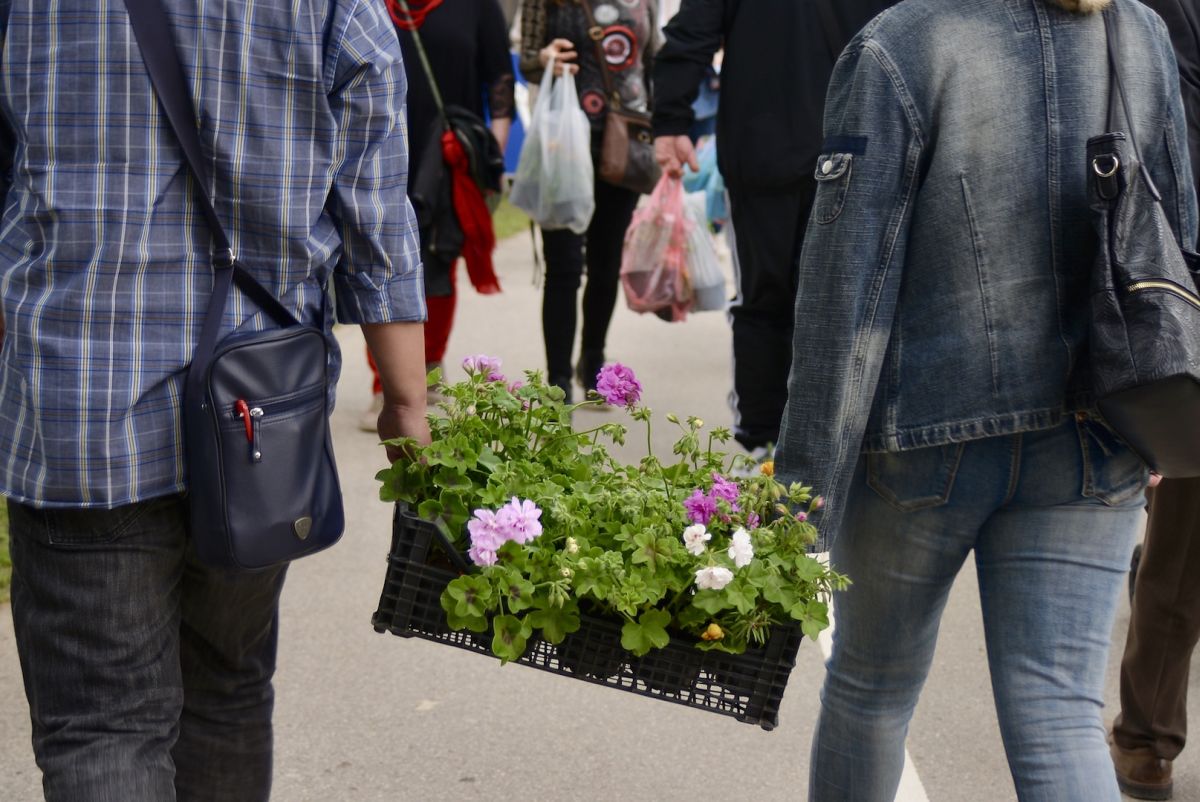floraart