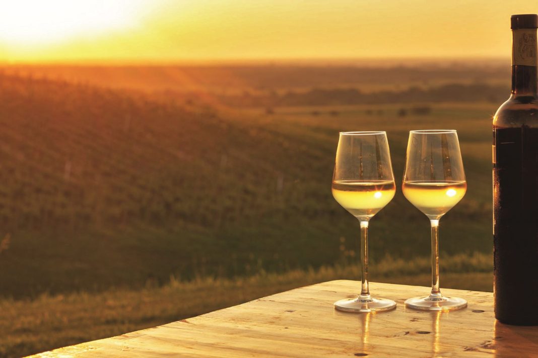 vino dunav