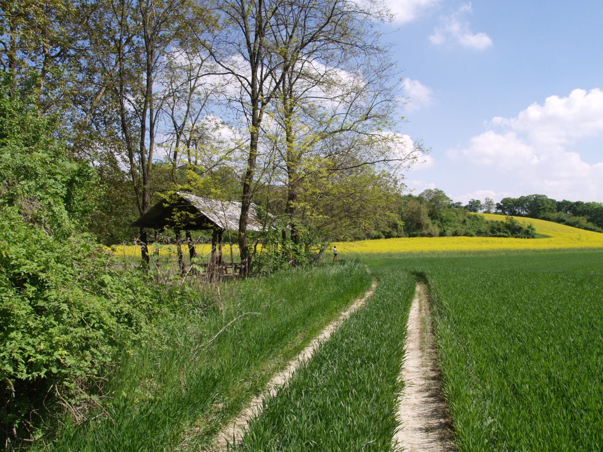 planina baranja