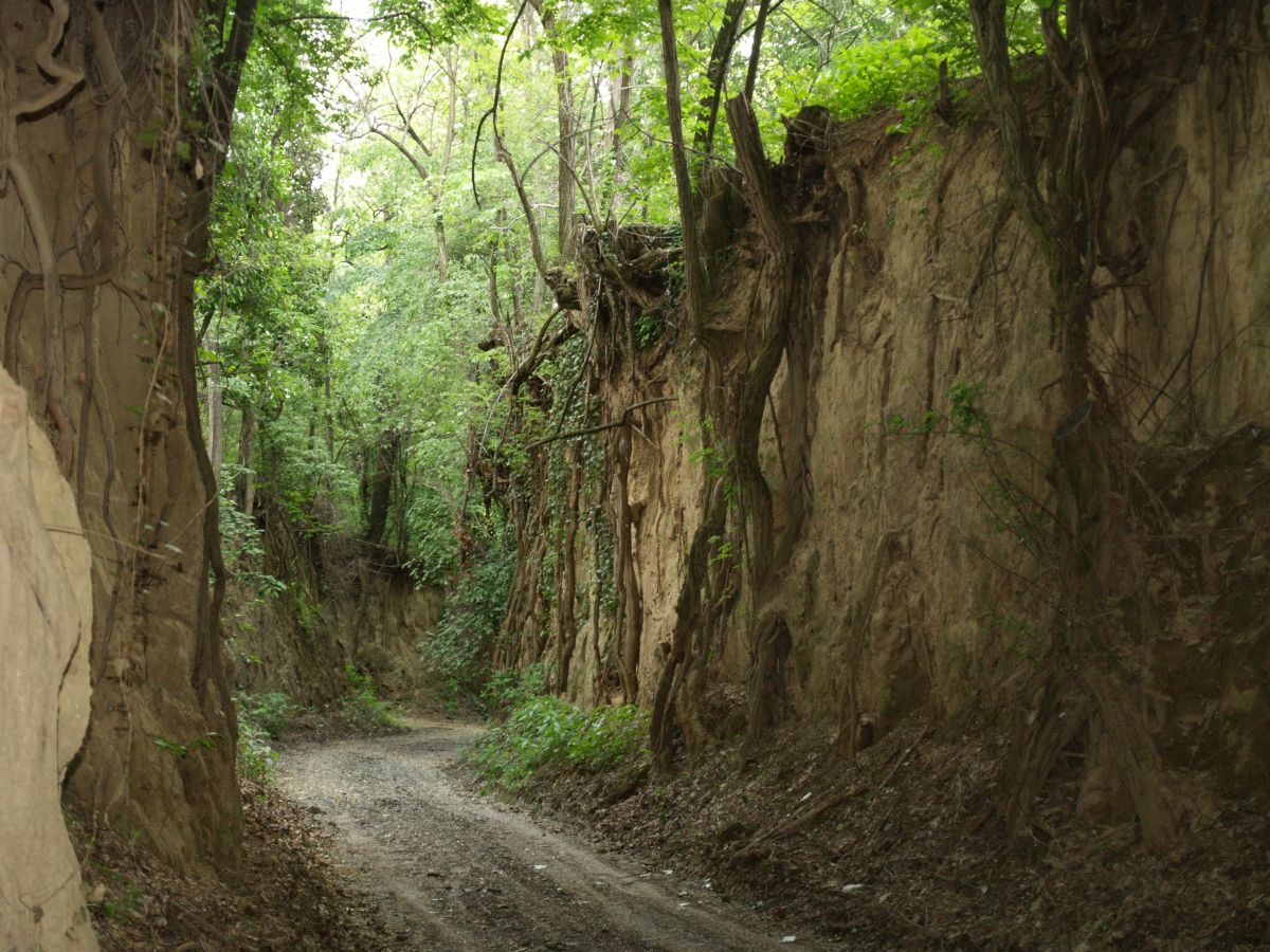 planina baranja