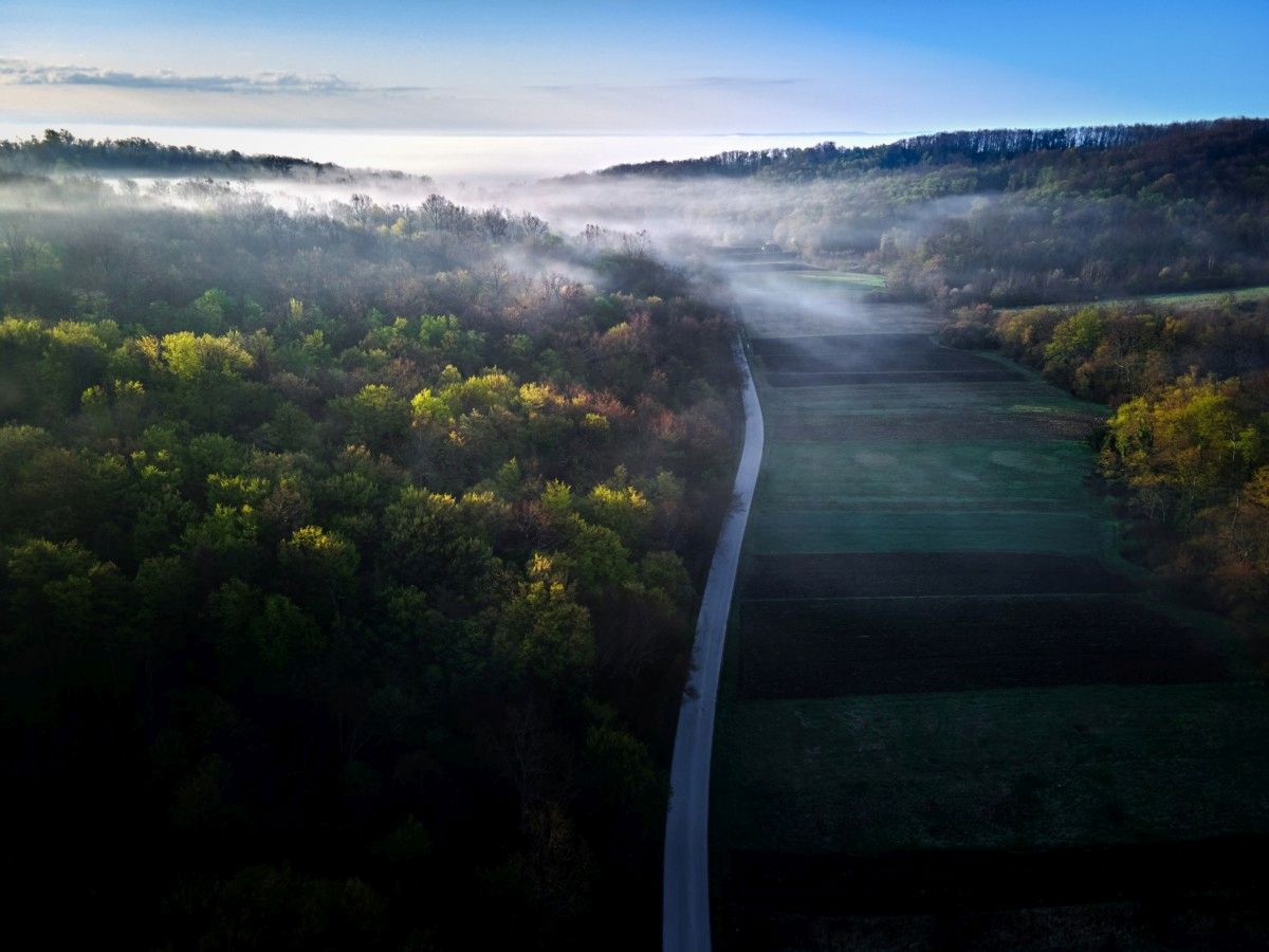 plešivička vinska cesta