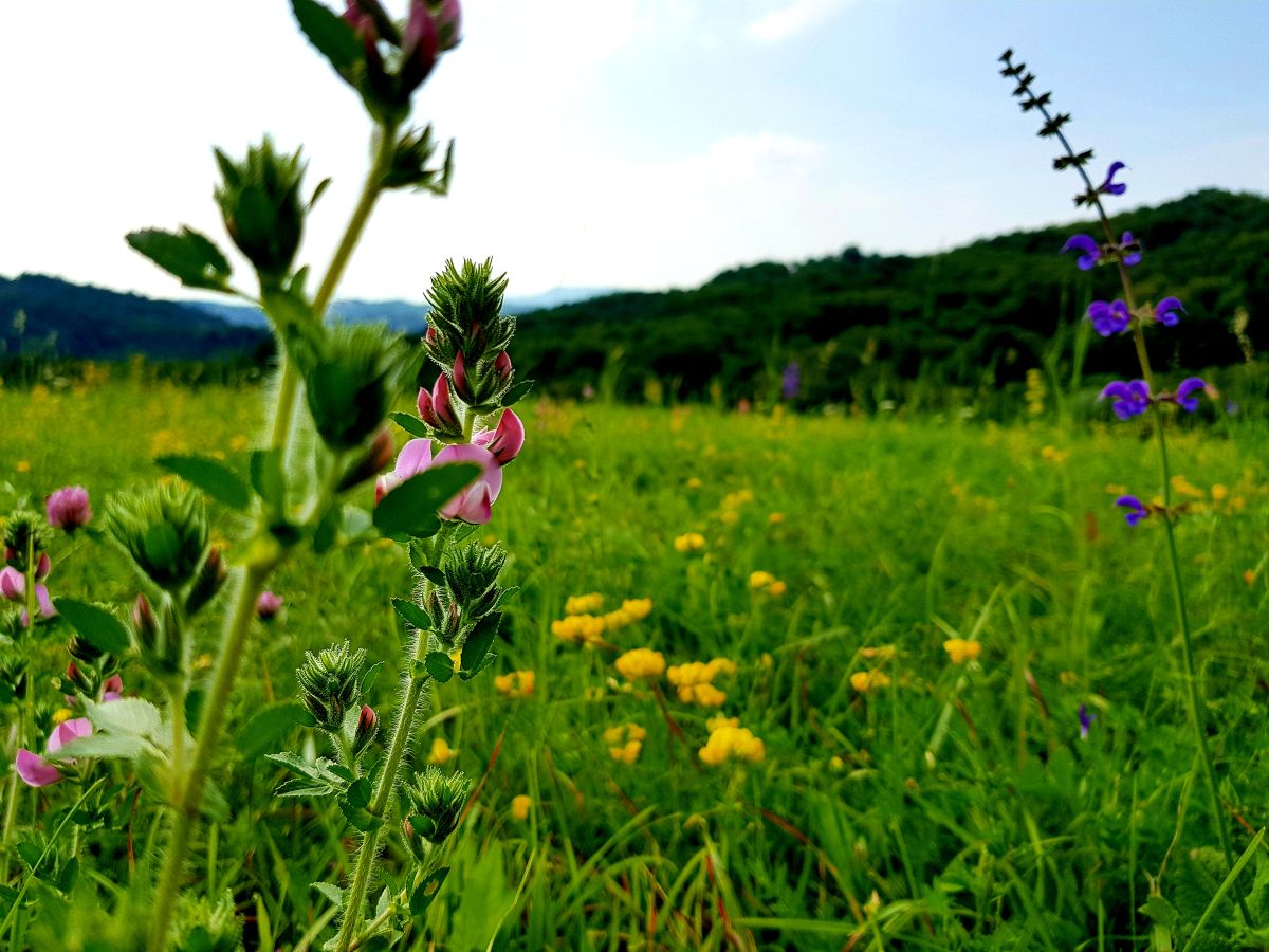 zagorje