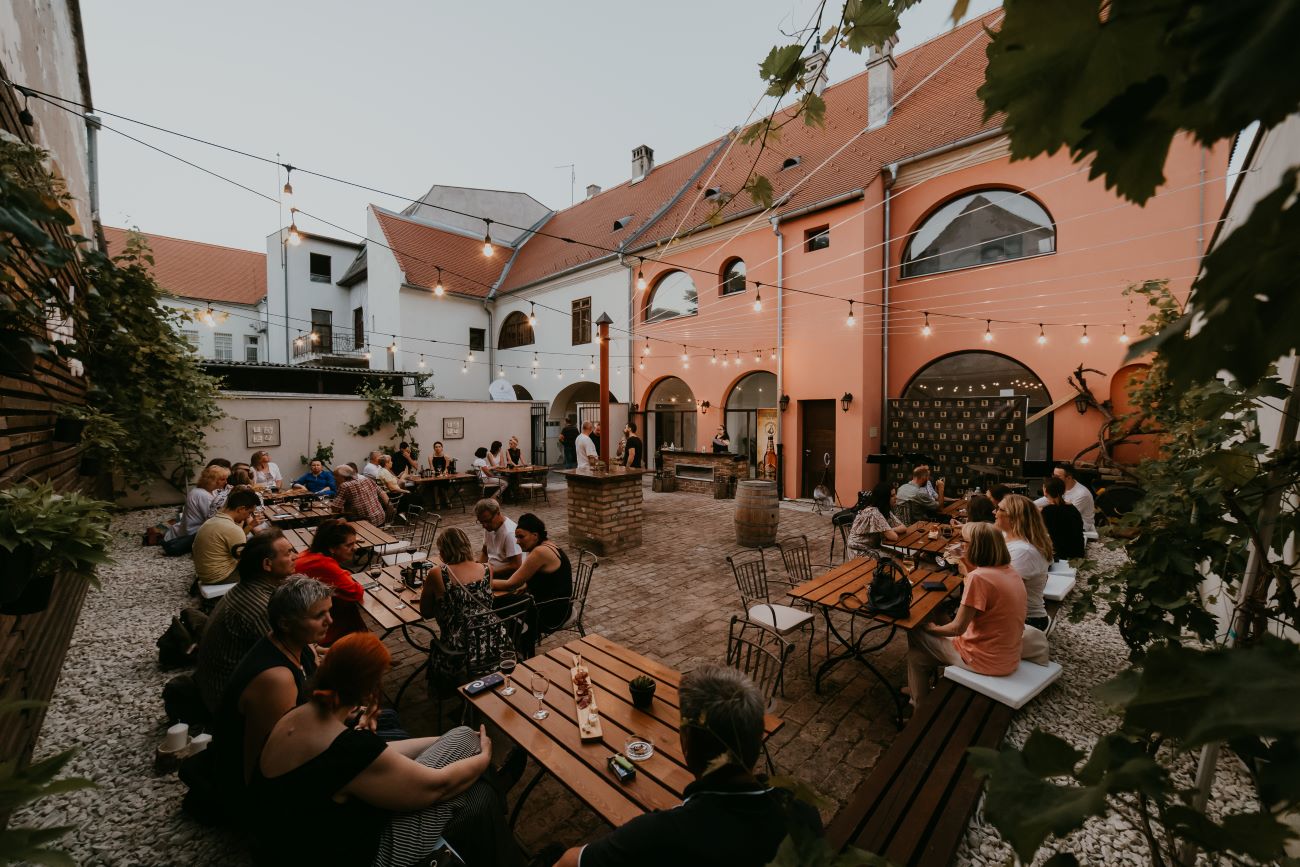 dunav art vukovar