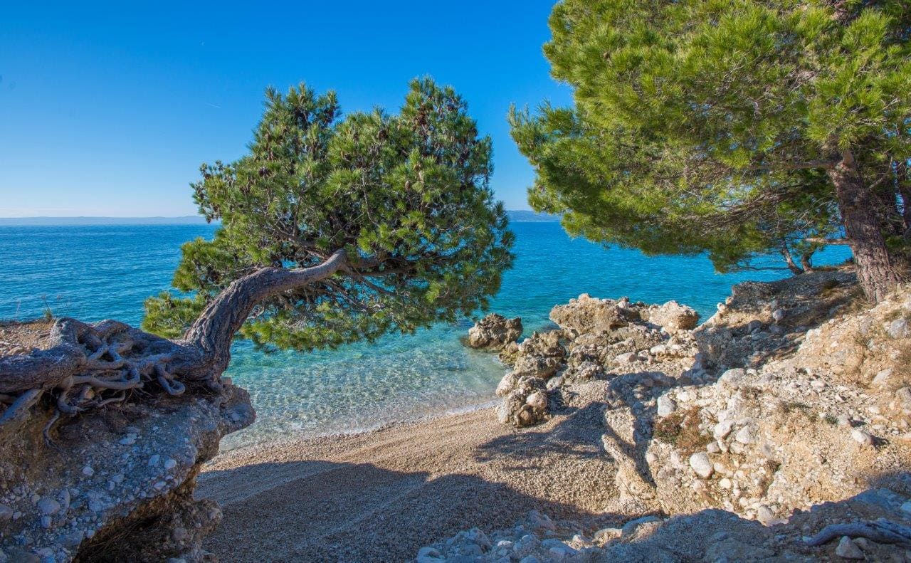 Plaža Cvitačka