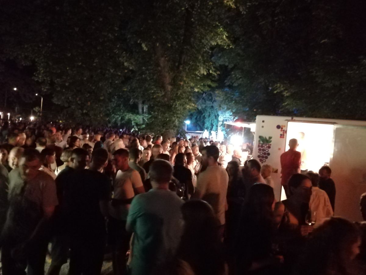 Večer vina i umjetnosti