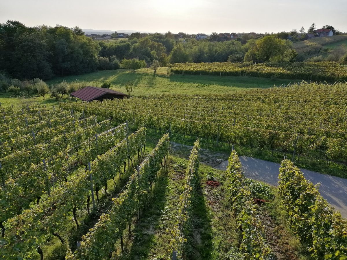 moslavina