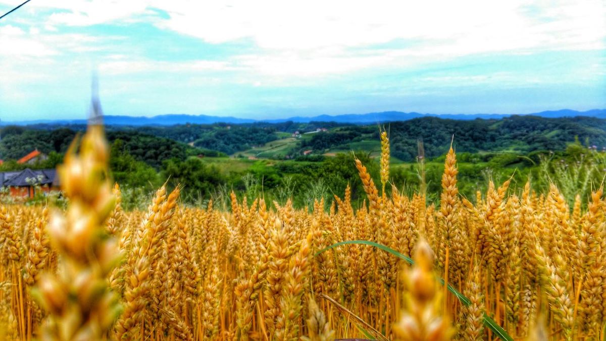 zagorje