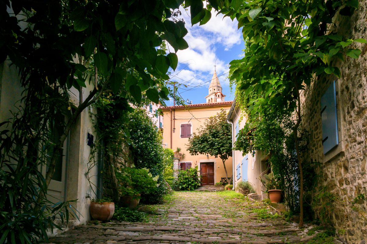 Motovun Rialto