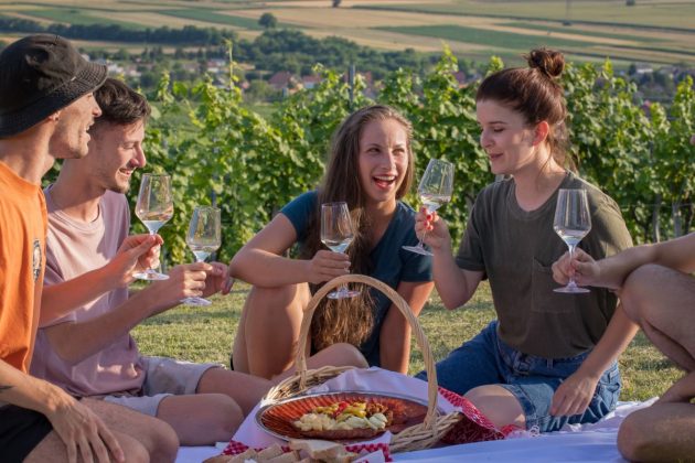 vina, vinograd