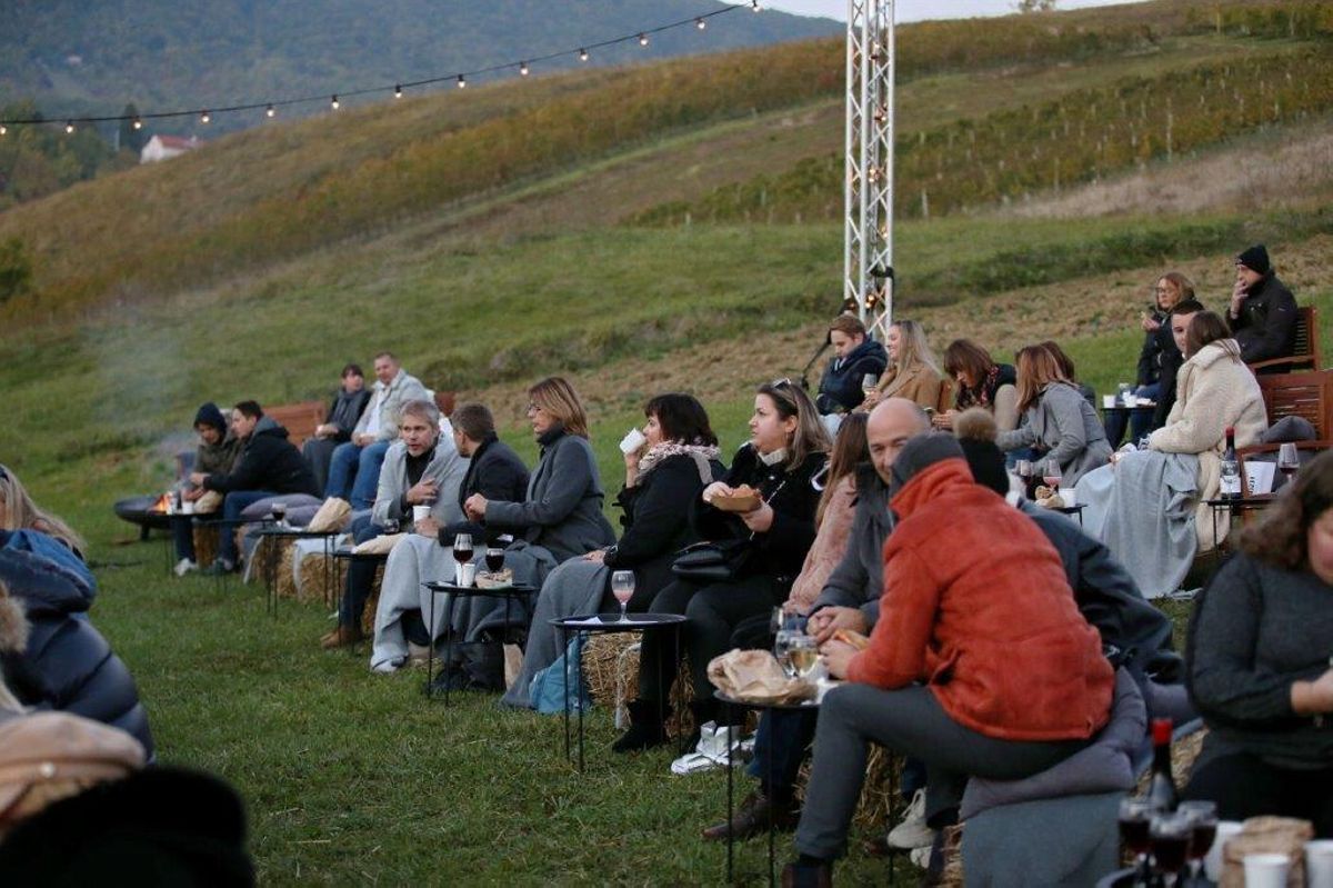 kino u vinogradu