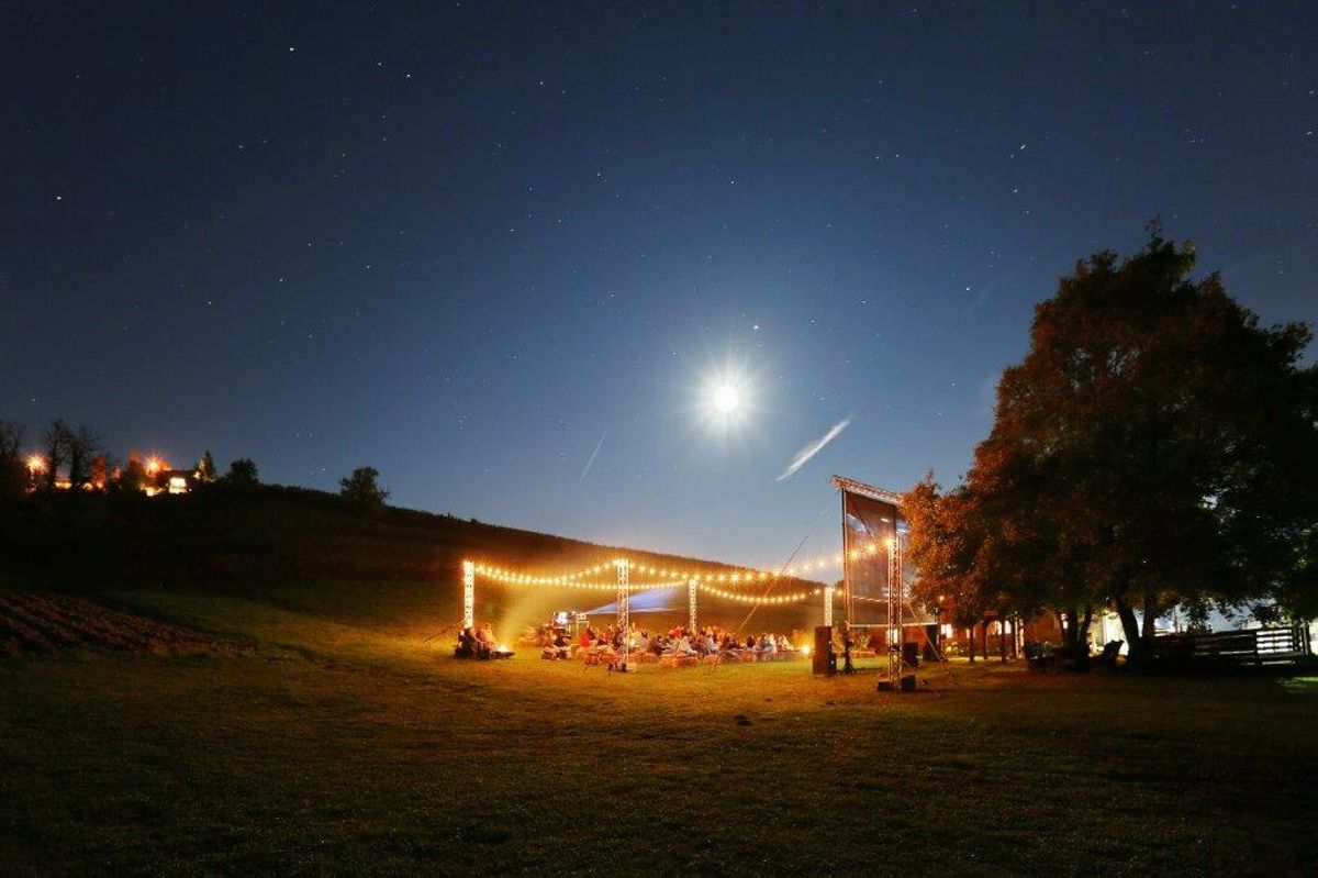 kino u vinogradu