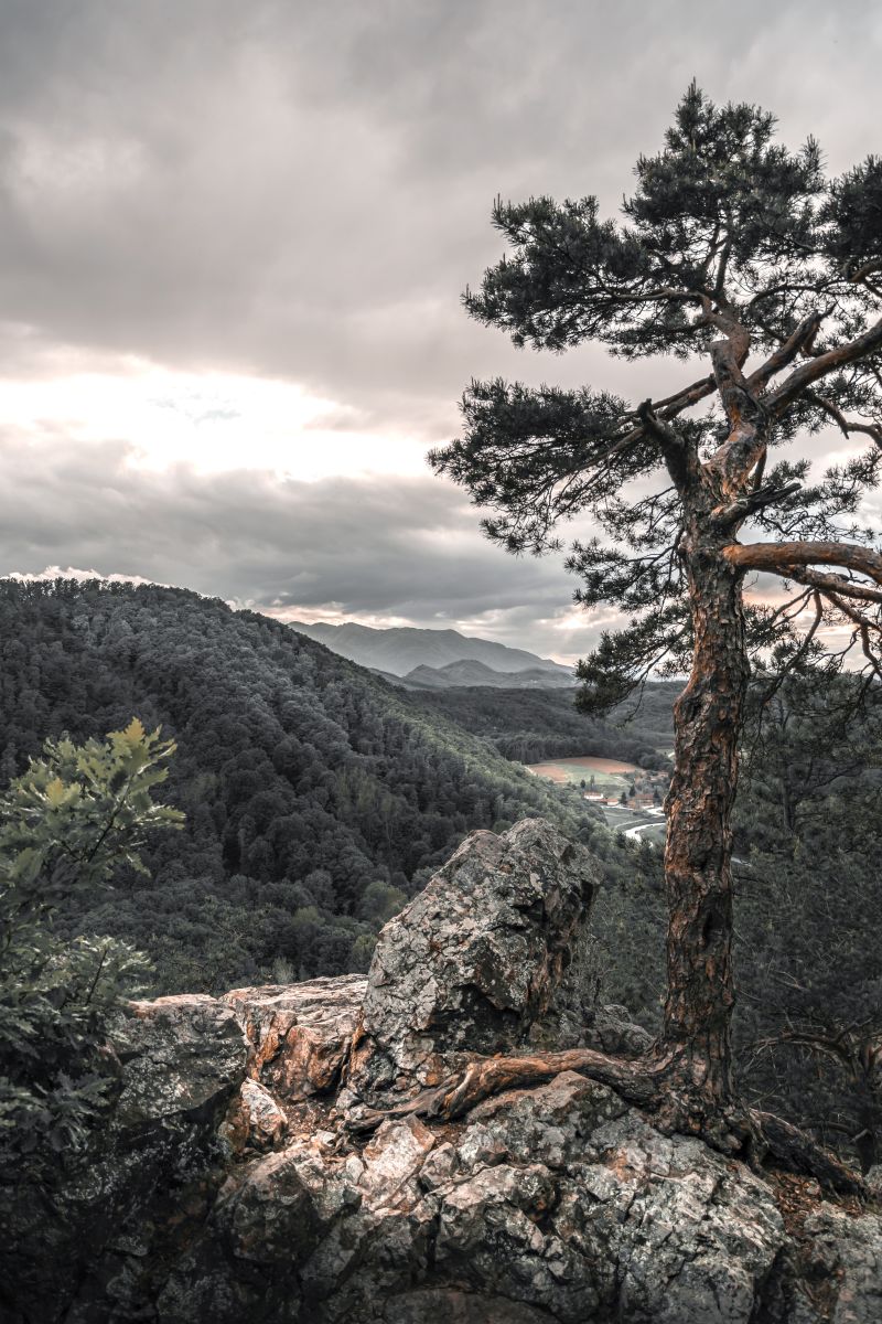 vrhovi varaždinske županije