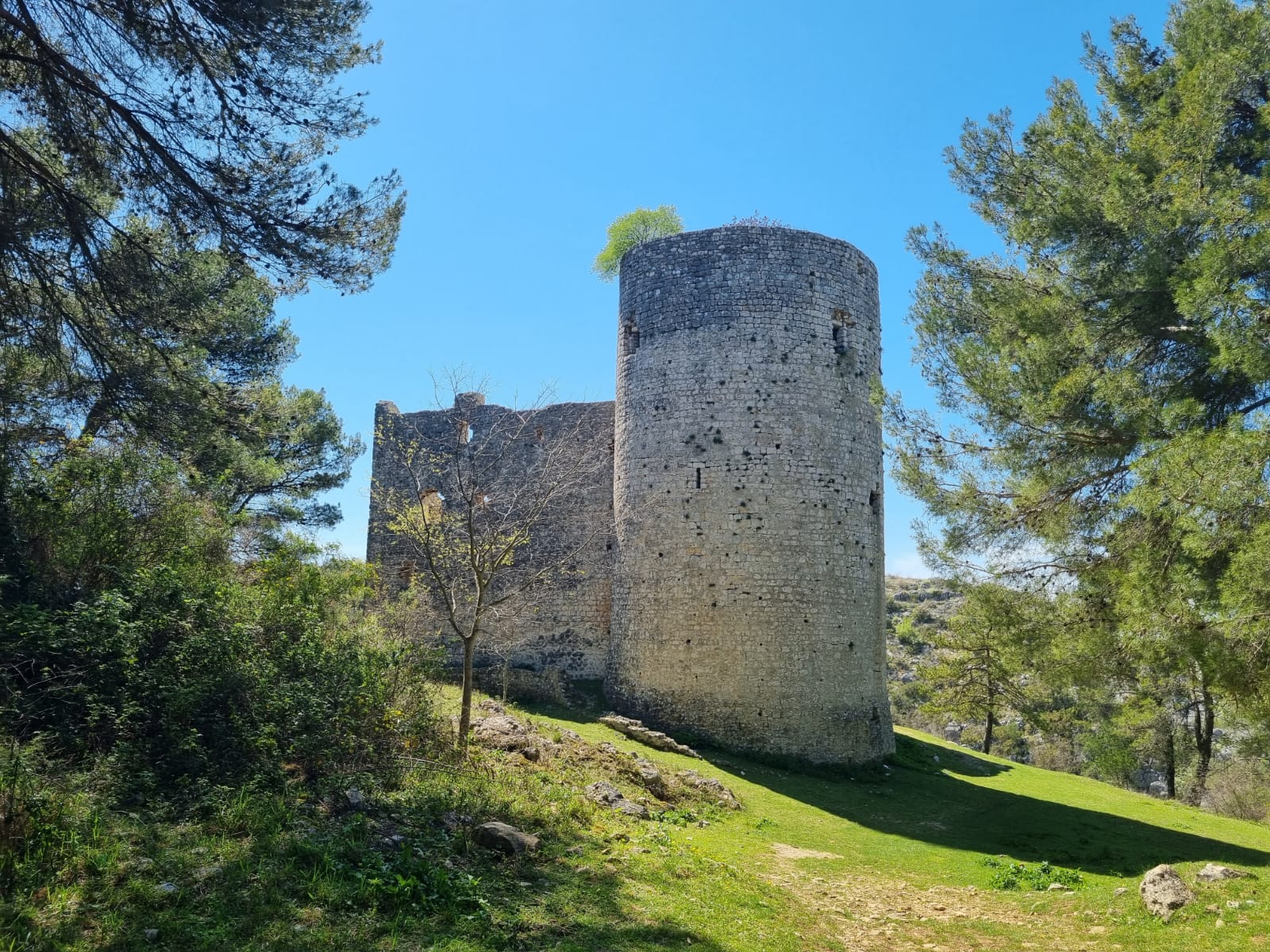 Kličevica Benković