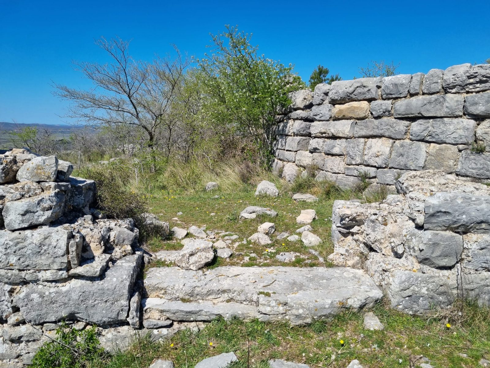 Bribirska glavica