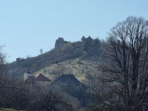 modruš