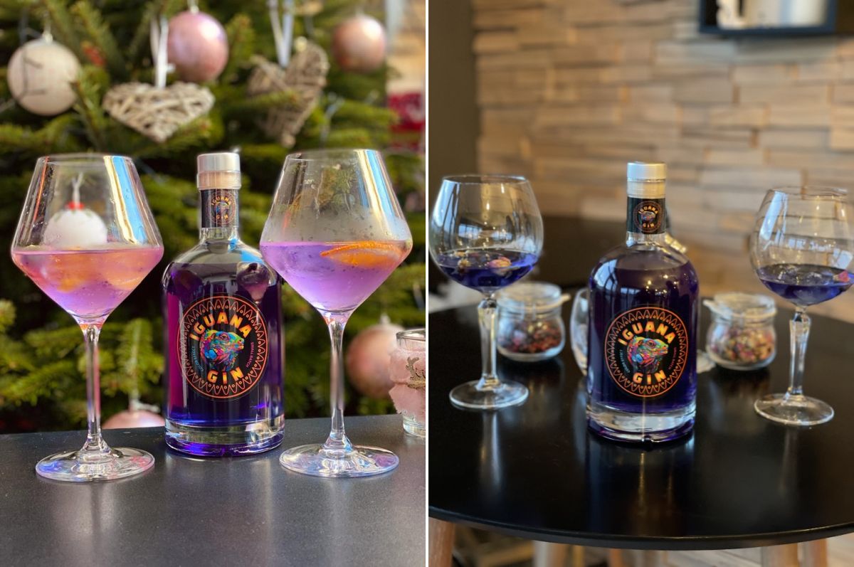 iguana gin