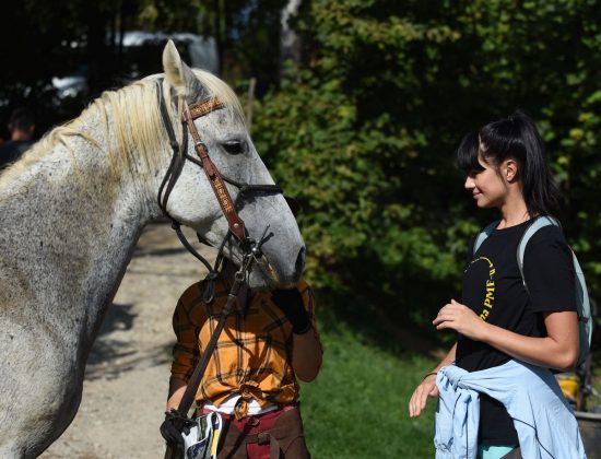 Mrežnica Ride Walk