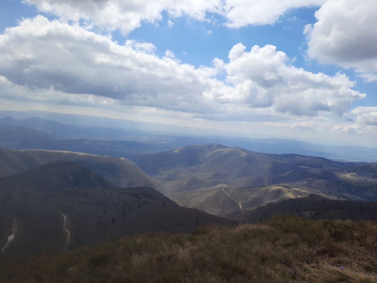tri dana tri vrha