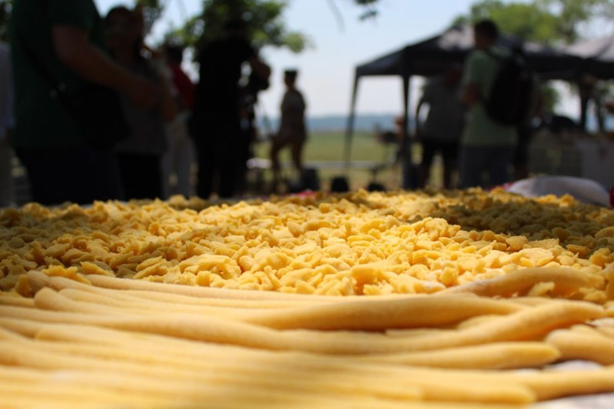 festival tista baranja