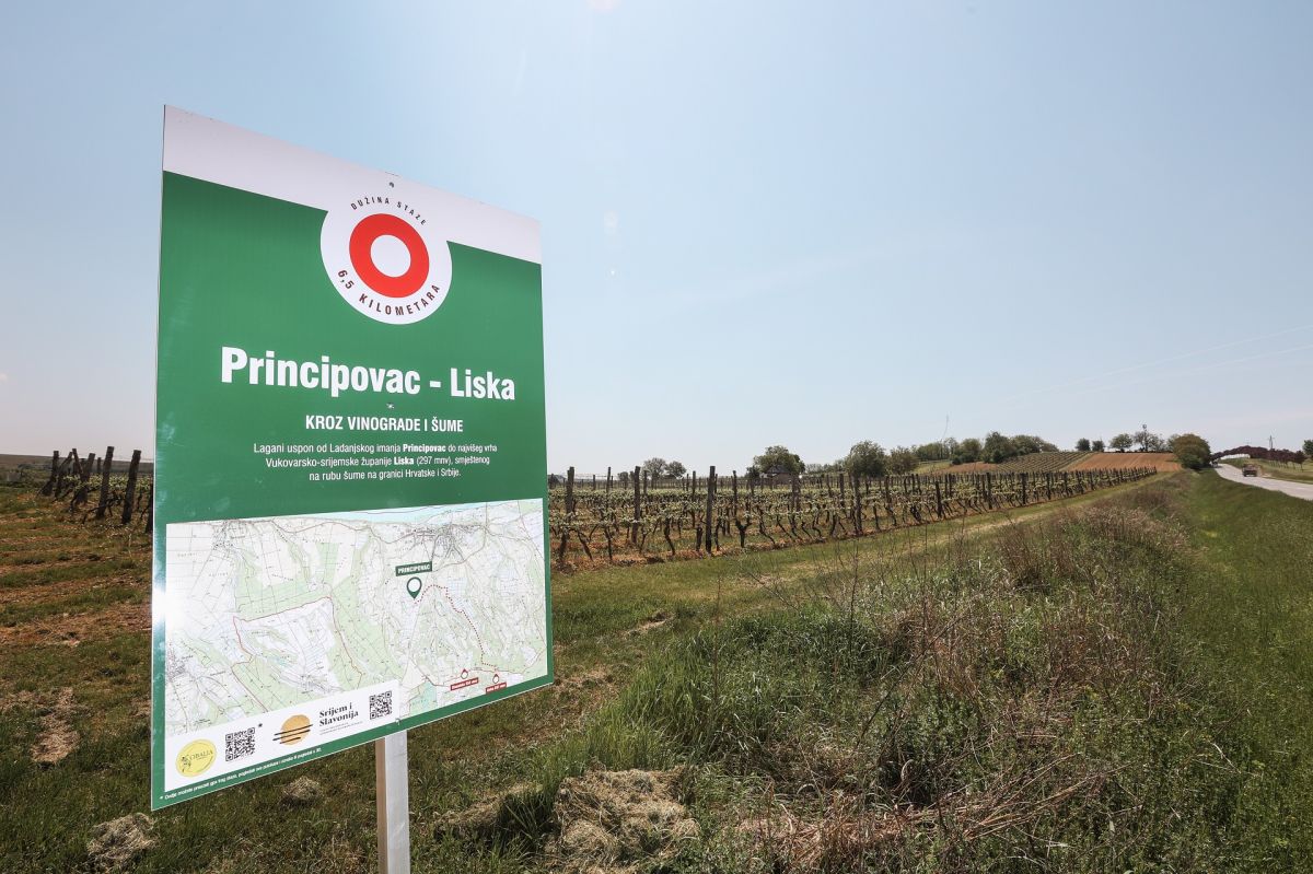 pješačke planinarske staze ilok