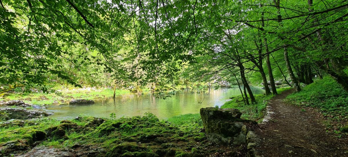 tounj šetnica