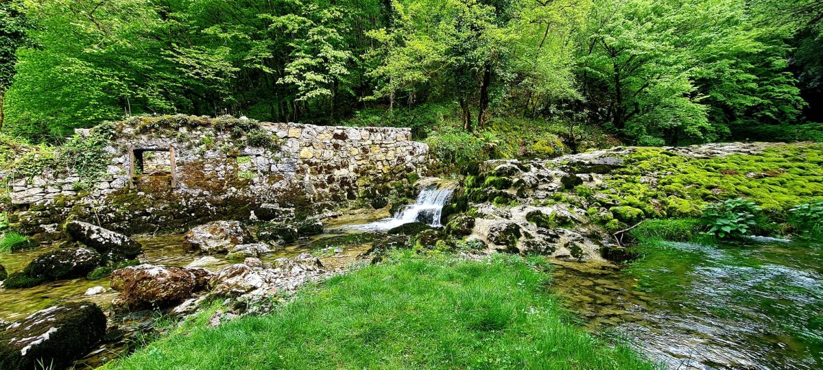 tounjčica