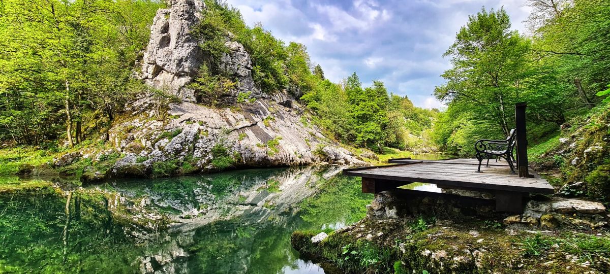 tounjčica