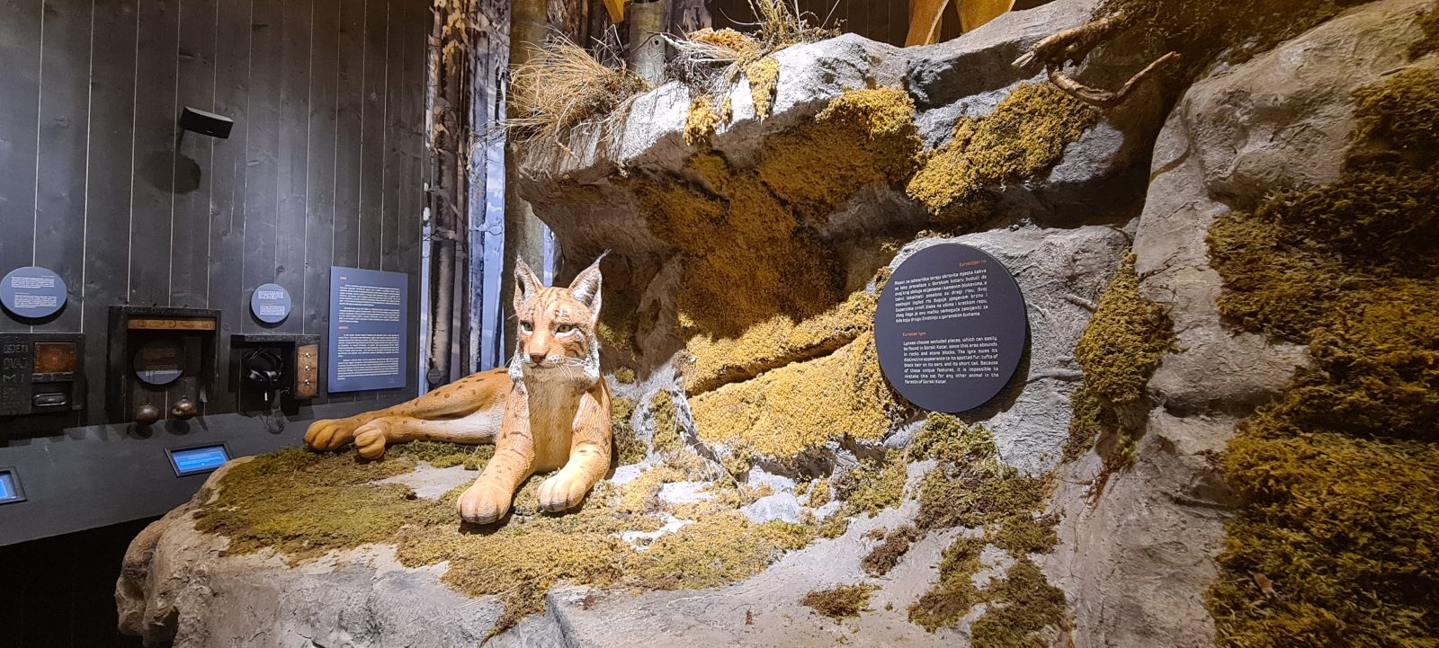 Centar za posjetitelje Velike zvijeri, Gorski kotar