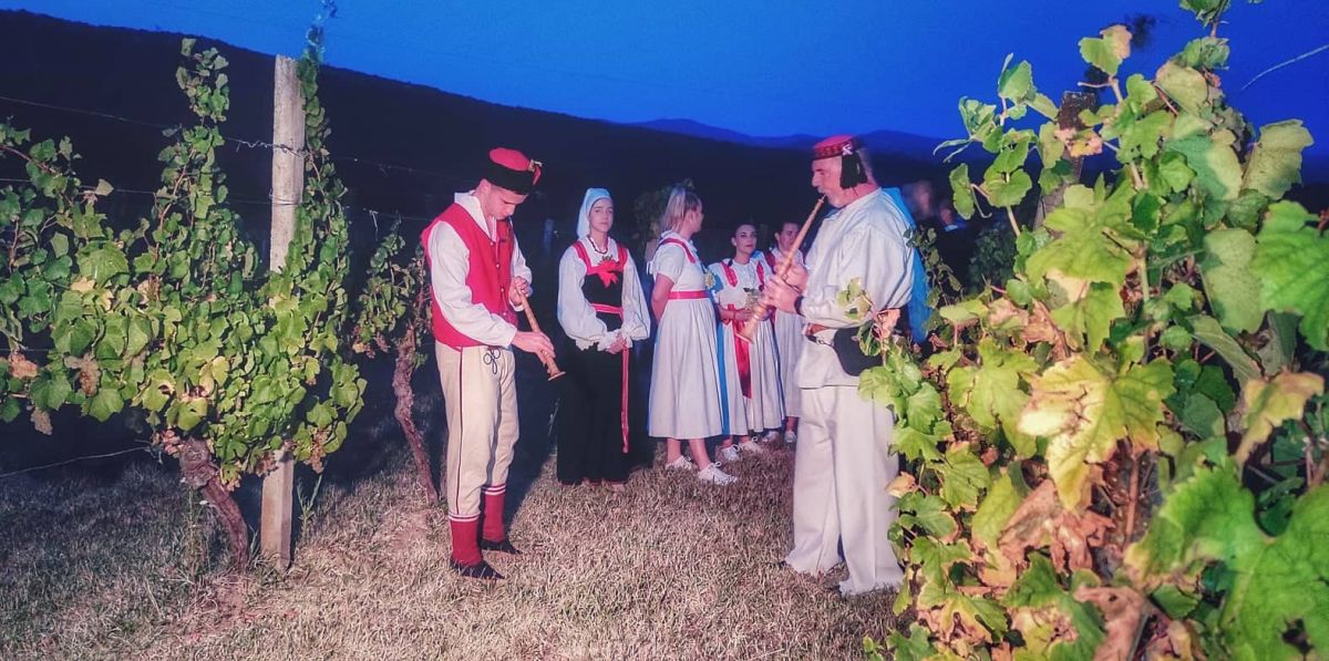 Ružica Vinodola