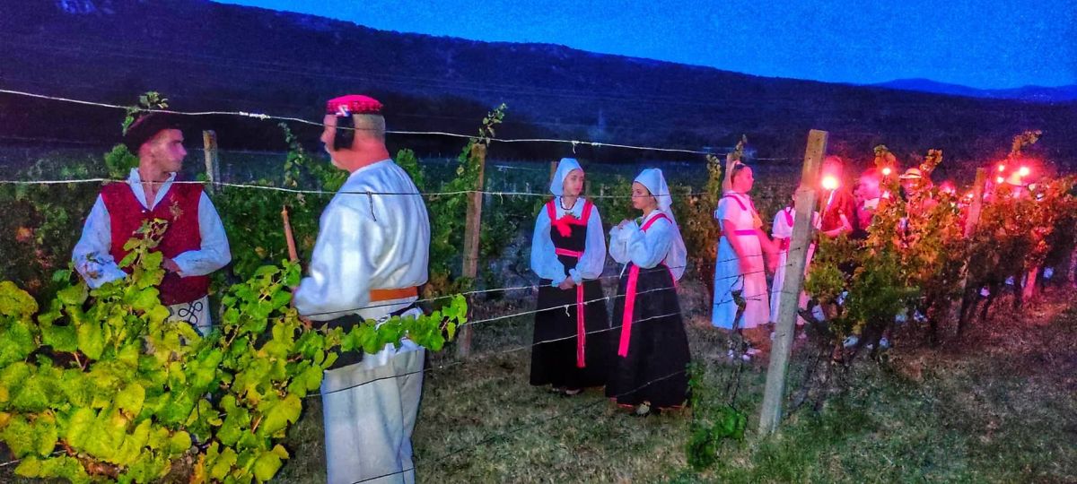 Ružica Vinodola