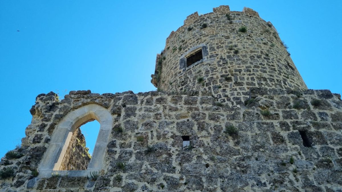 sokolac