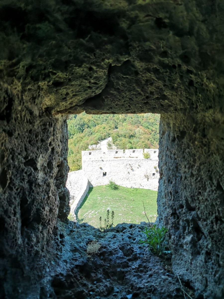 sokolac