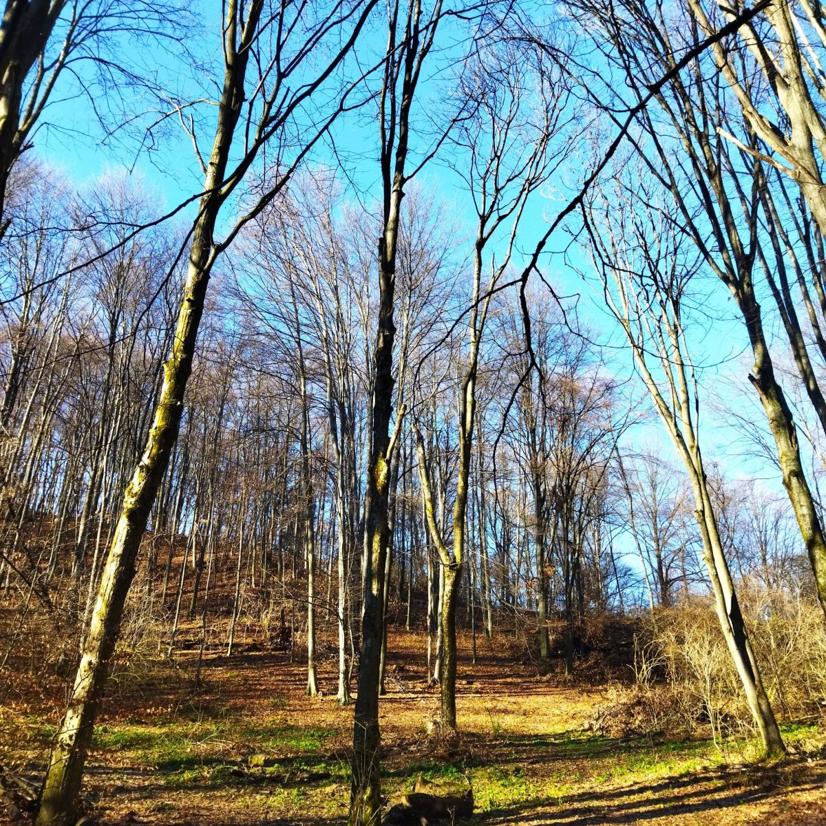 krndija planinarenje