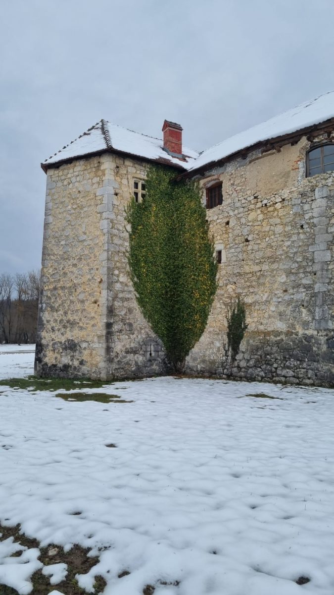 ribnik
