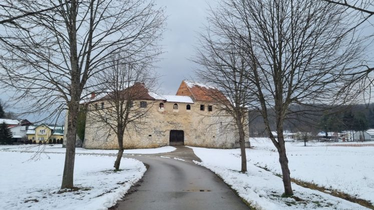 ribnik
