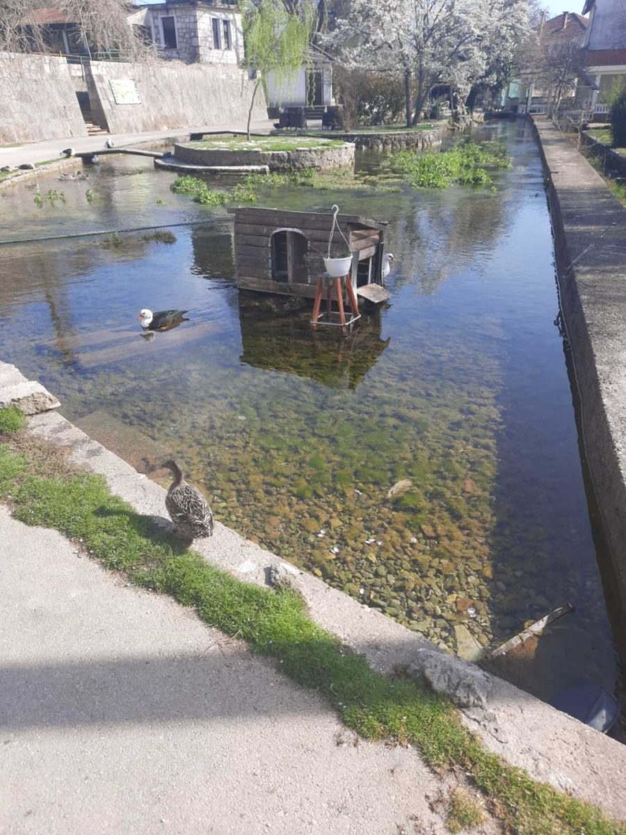 početak proljeća međugorje