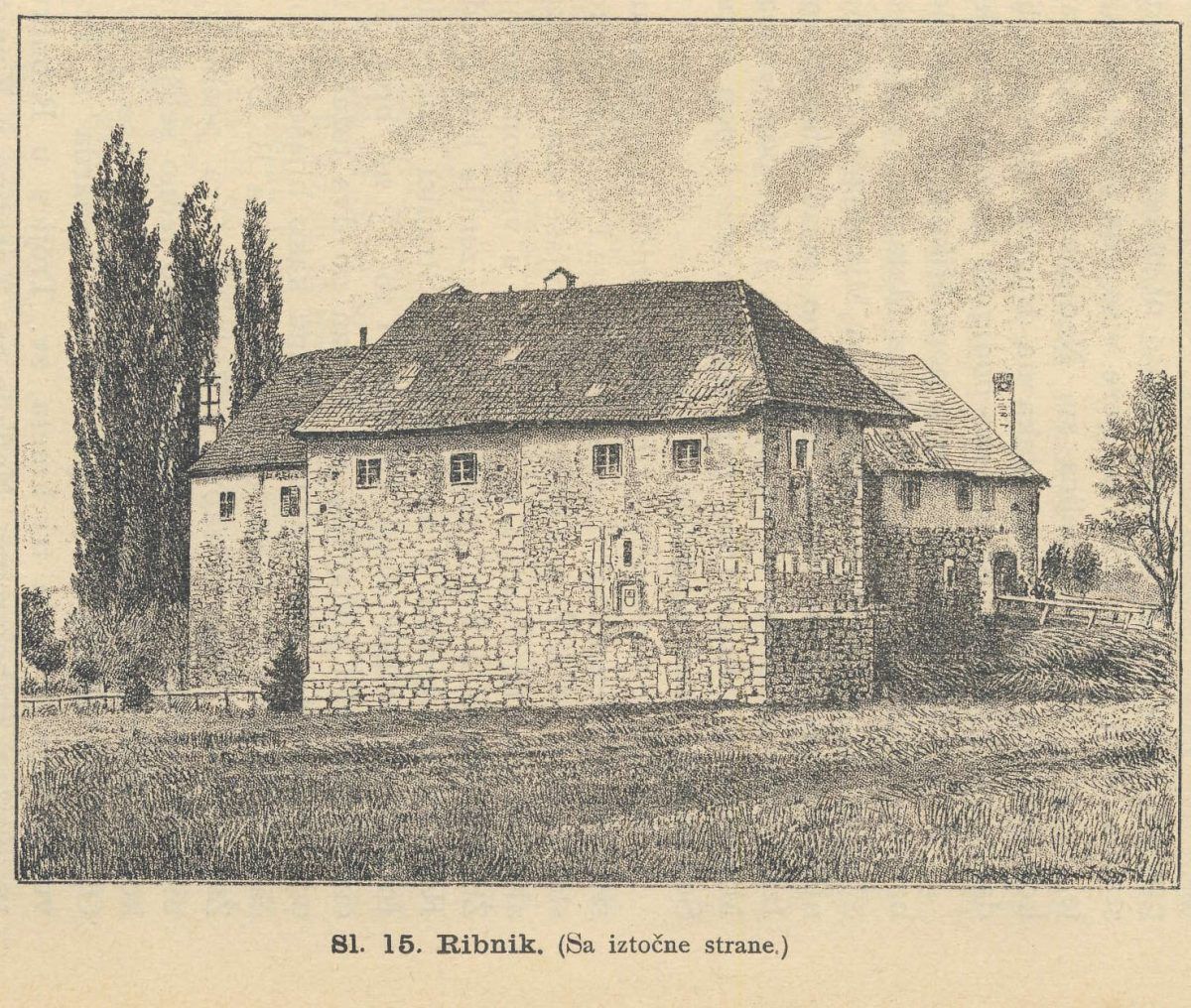 ribnik