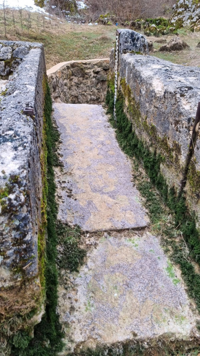 kosinj