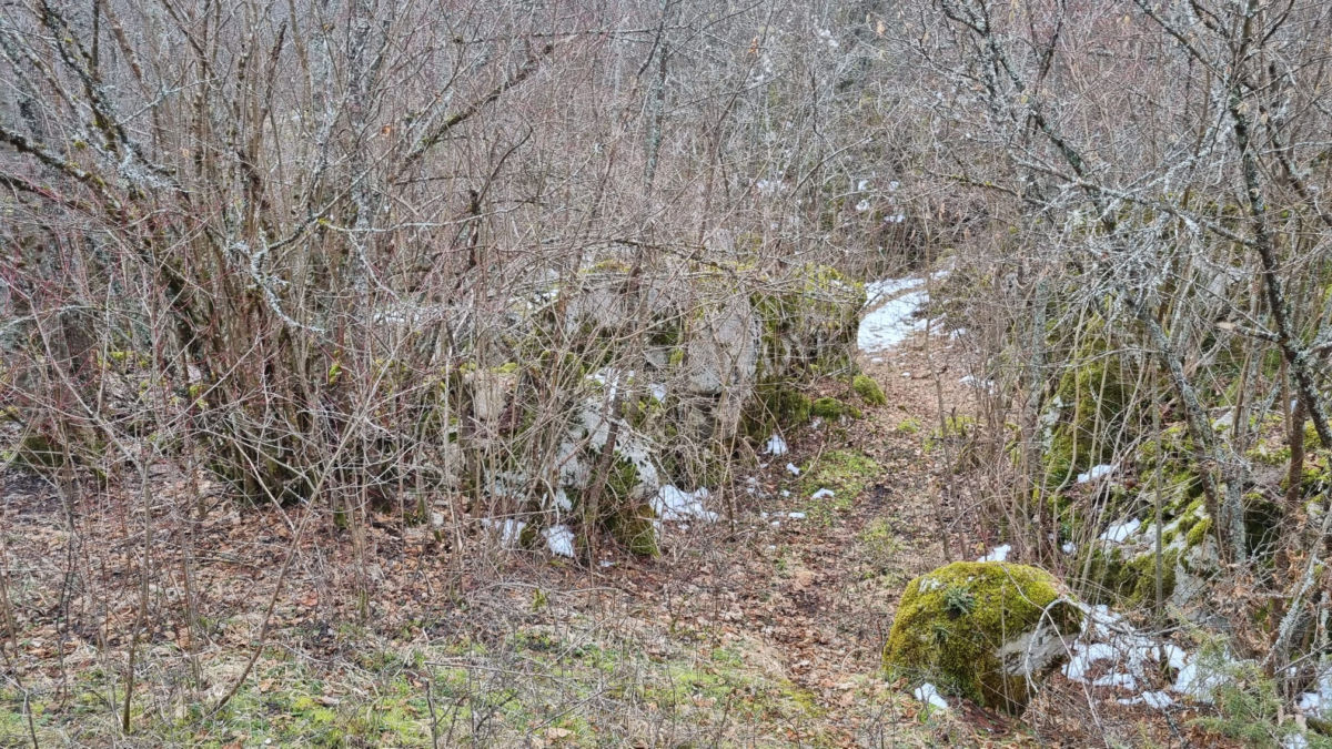 cesta prema kaštelu