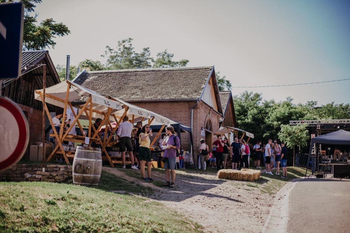 Baranja Vinatlon 2023.